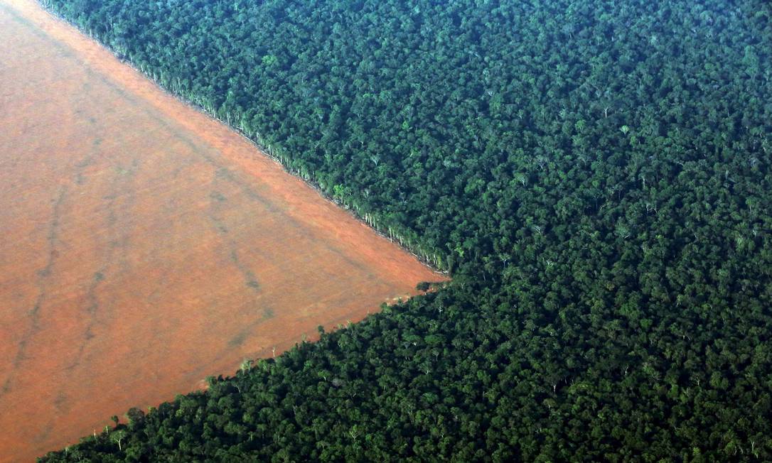 Desmatamento para cultivo de soja no Mato Grosso: arco formado entre o estado, Pará e Amazonas é a região com maior perda de árvores de fevereiro de 2019 Foto: PAULO WHITAKER / Reuters/12-1-2018