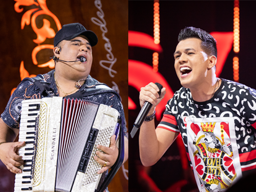 Tribunal de Contas do AM suspende shows de artistas nacionais em Borba