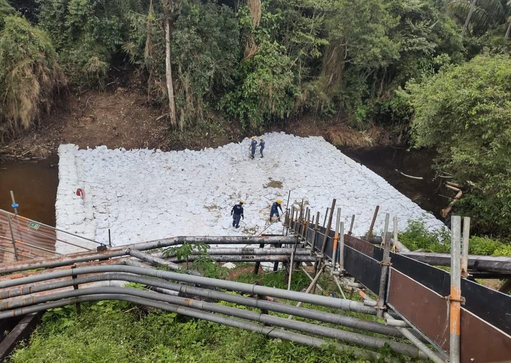 Após denúncia, Petrobras é multada por crime ambiental no Amazonas; empresa aterrava igarapé dentro de refinaria