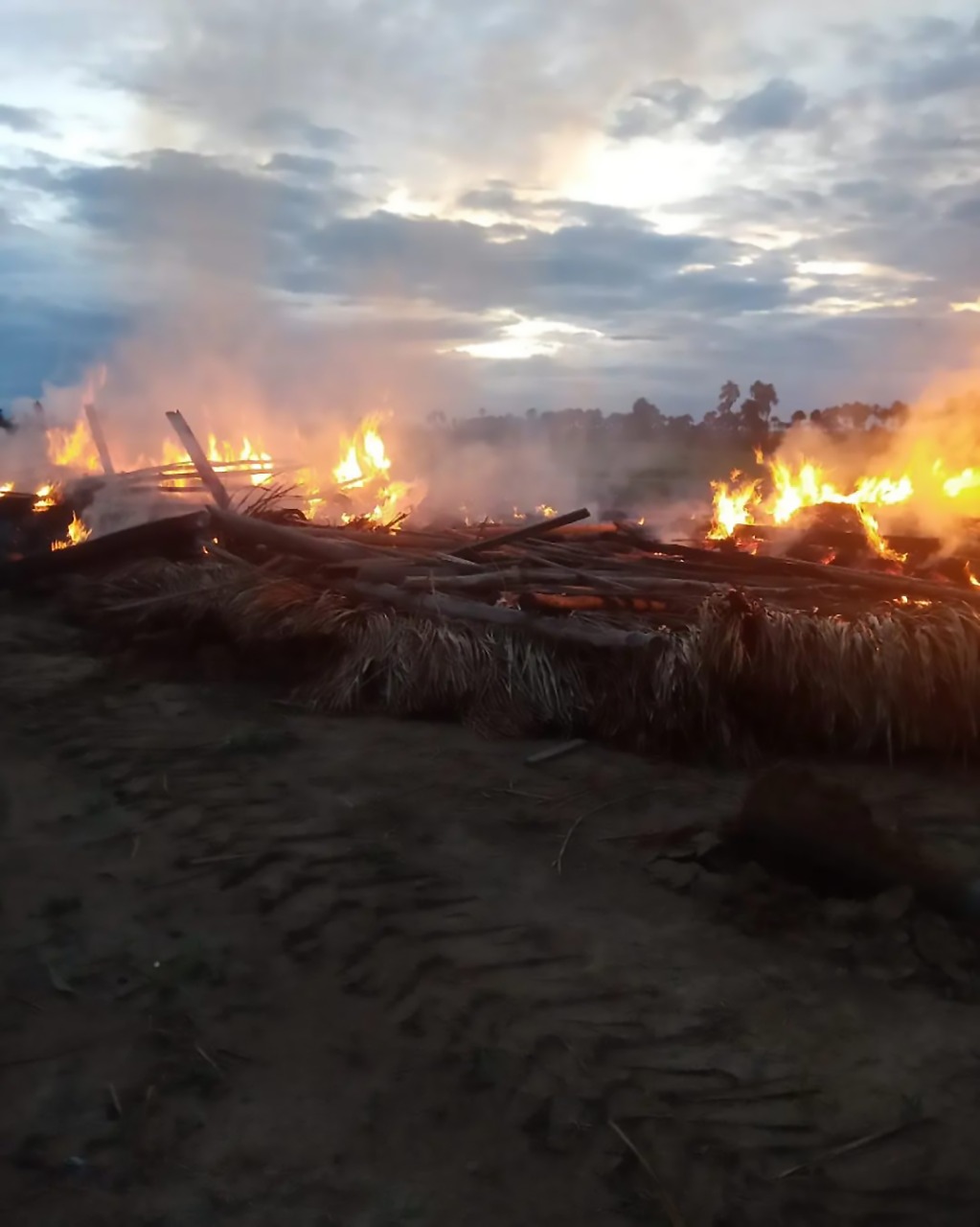 Fazendeiros atacam comunidade indígena e incendeiam maloca em Roraima, denuncia organização