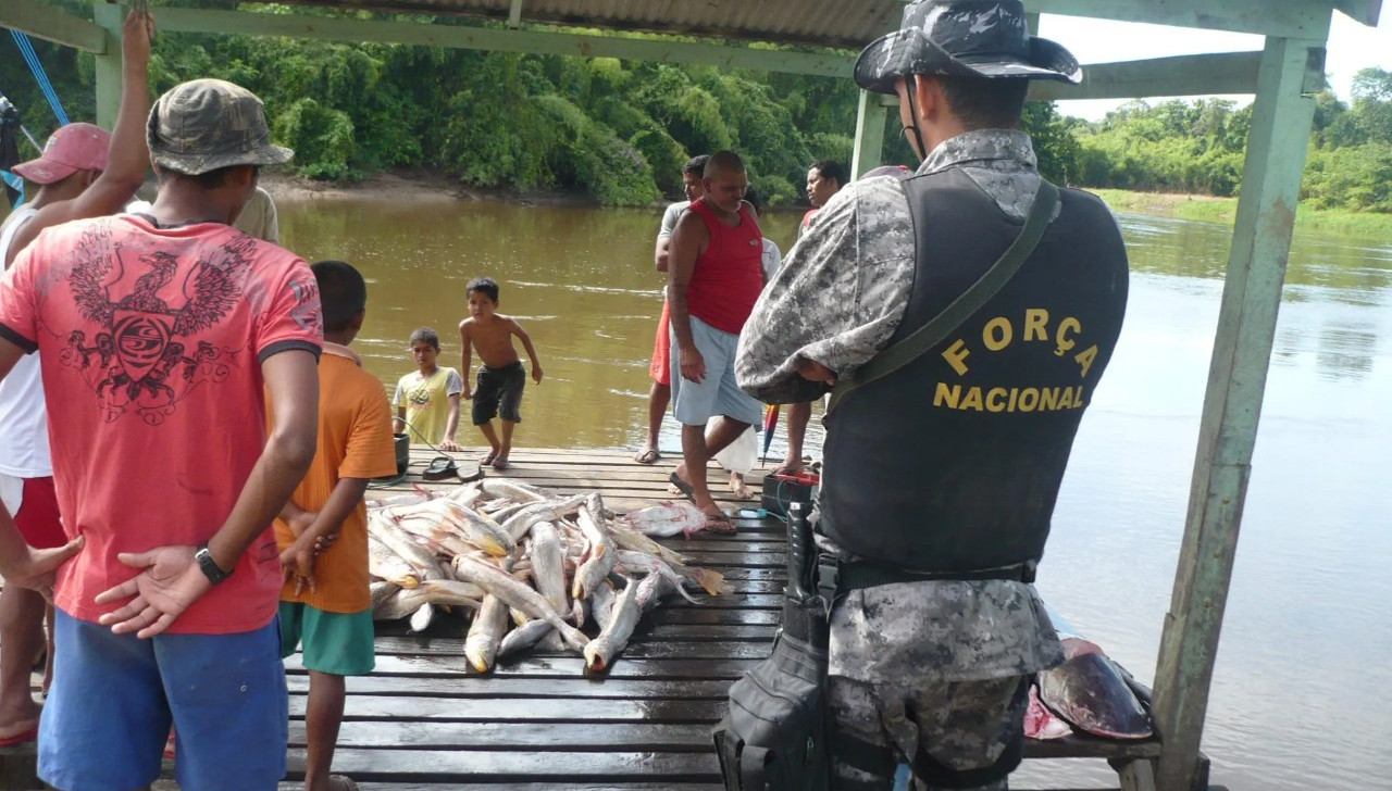 ‘Caso Dom e Bruno’: ‘Tem que ter decisão política de priorizar a região’, dizem especialistas sobre segurança na Amazônia