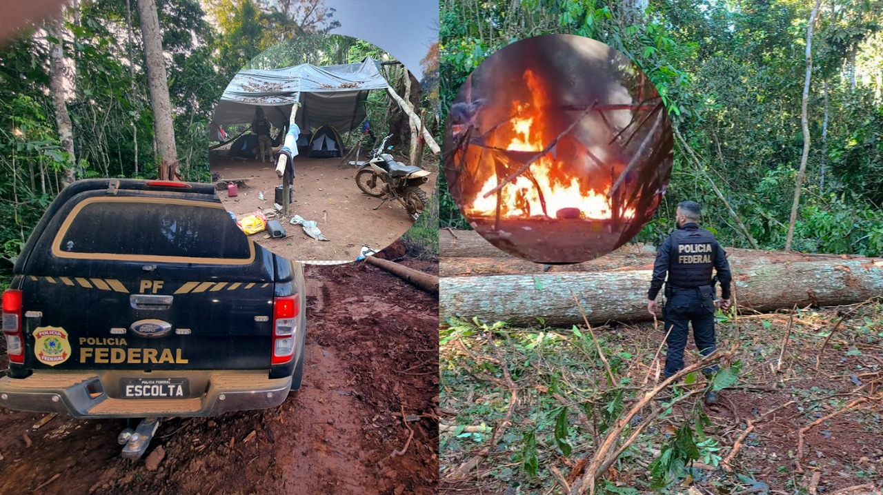 ‘S.O.S Uru’: Operação combate desmatamento e pesca ilegal na principal terra indígena de Rondônia