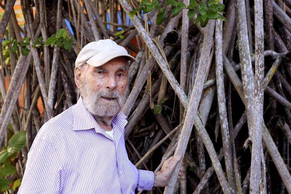 Exposição de Frans Krajcberg ganha versão online; mostra irá passear por 160 trabalhos do escultor