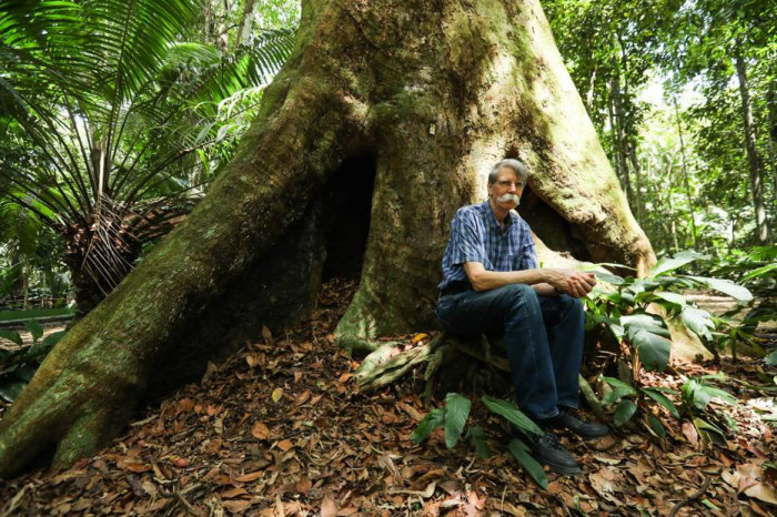‘Na Amazônia, BR-319 é a grande preocupação’; afirma biólogo de grupo da ONU que ganhou Nobel