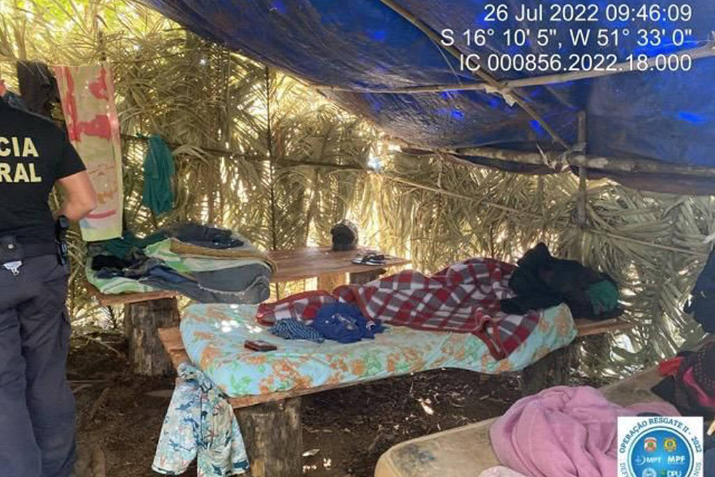 Mais de 330 pessoas em situação análoga à escravidão são resgatadas durante operação