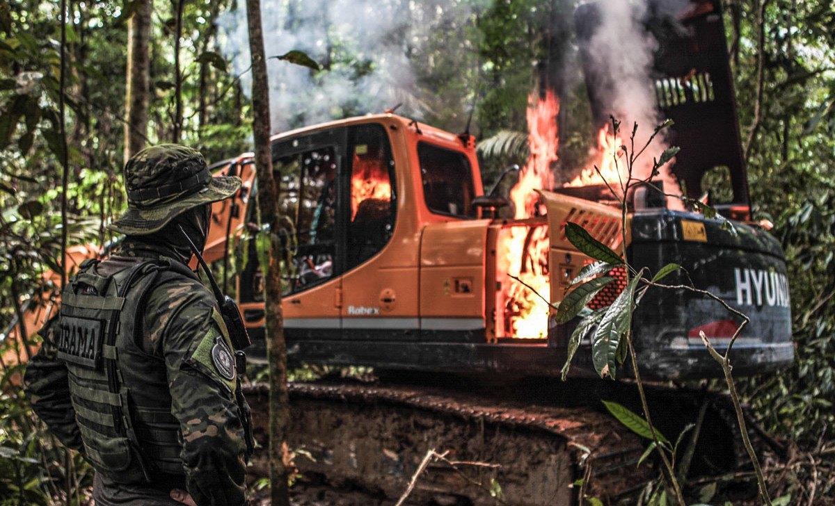 O partido destaca que a lei fere a divisão de competências legislativas relacionadas ao meio ambiente (Reprodução/Polícia Federal)