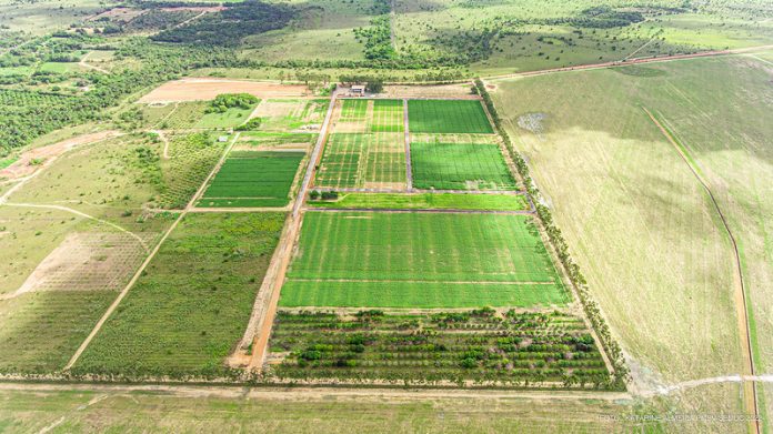 ‘AgroBV’: prefeitura anuncia programação da feira da agricultura familiar de Boa Vista