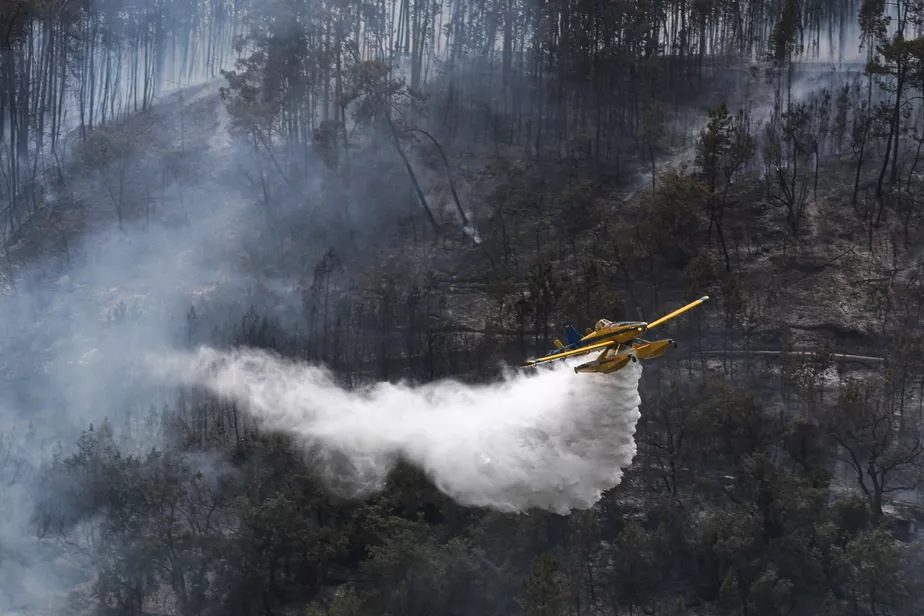 Em Portugal, mortes acima da média na última semana podem estar relacionadas com onda de calor