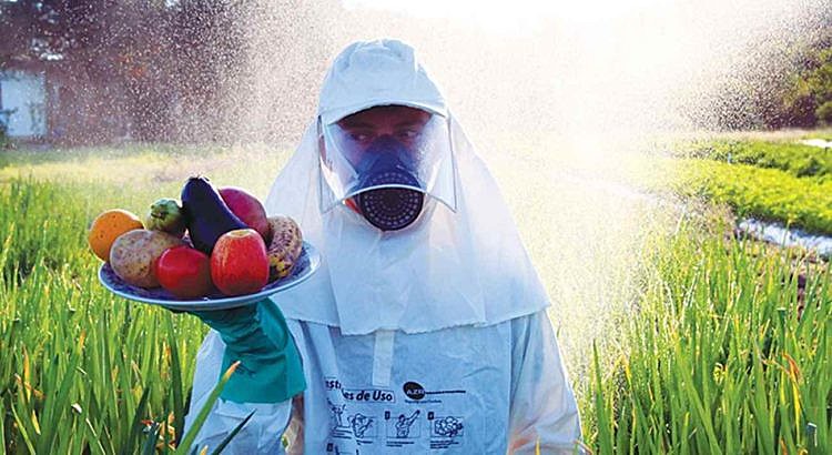 ‘Pesticidas que envenenam o alimento’; como aprovação do PL que acelera registro de agrotóxicos impacta brasileiros
