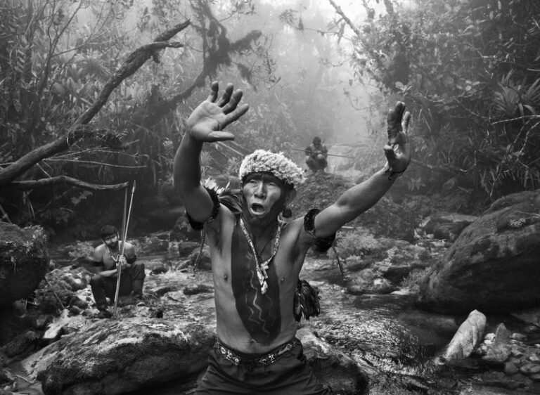 ‘Amazônia’: exposição de Sebastião Salgado chega ao Museu do Amanhã, no Rio de Janeiro