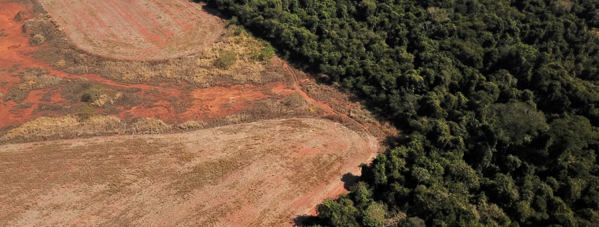 Mato Grosso foi o Estado que mais desmatou na Amazônia em fevereiro, aponta Inpe