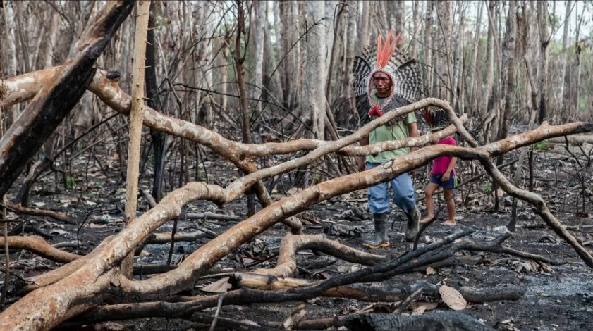 Incêndio provocado em agosto de 2019 por fazendeiros que ocupam parte da Terra Indígena Valparaíso, reivindicada há 29 anos pelo povo Apurinã, em Boca do Acre, Amazonas
(Denise Sterbova / Relatório Cimi 2019)