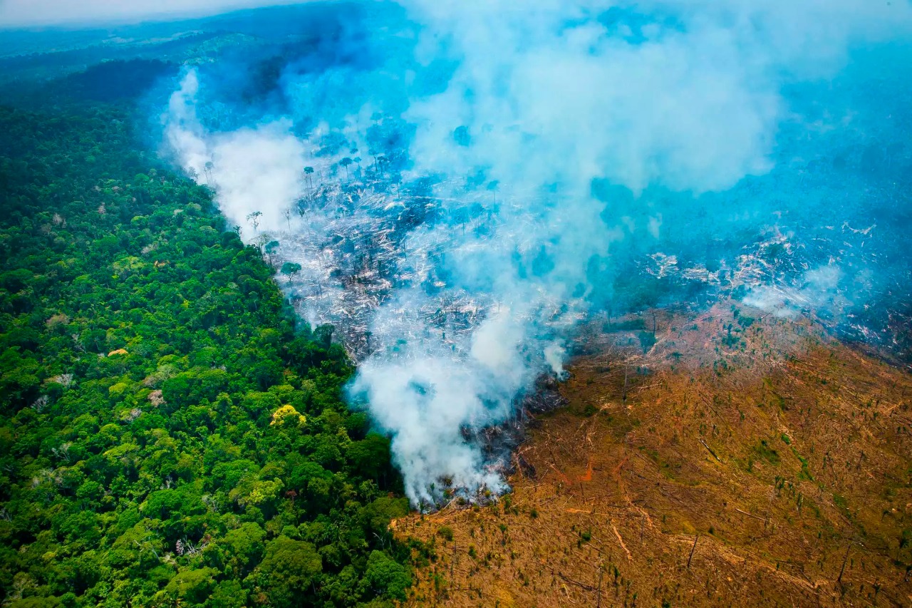 Governo federal cria grupo de trabalho para reestruturar Fundo Amazônia após colocar R$ 3,2 bi em risco