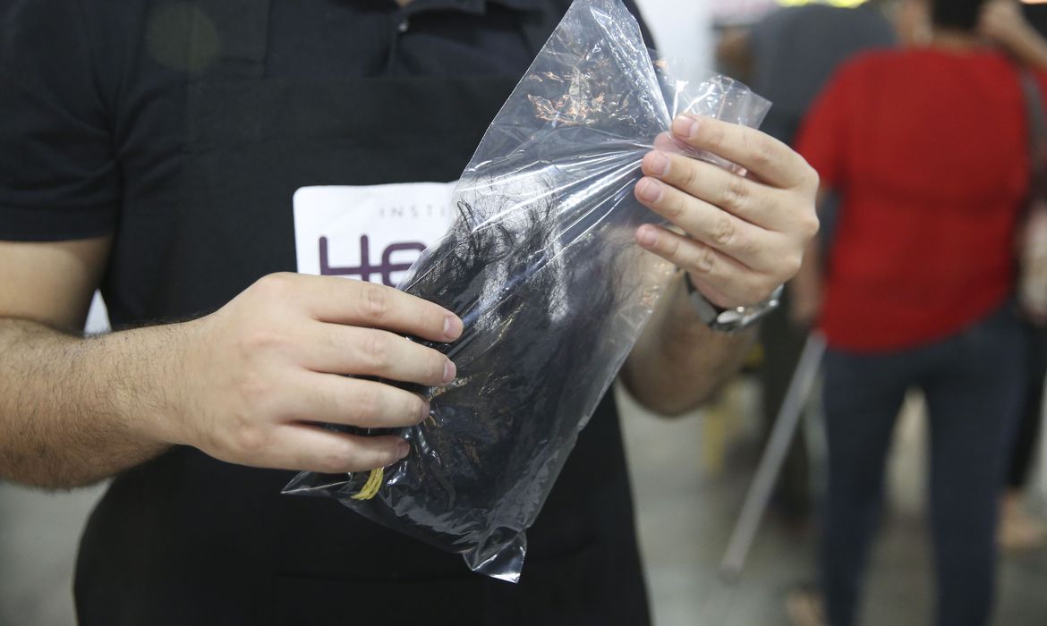 Projeto de Lei cria campanha para doação de cabelo a pessoas com câncer