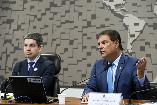 Comissão que investiga crimes na Amazônia propõe agravar pena para criminosos e armar servidores da Funai