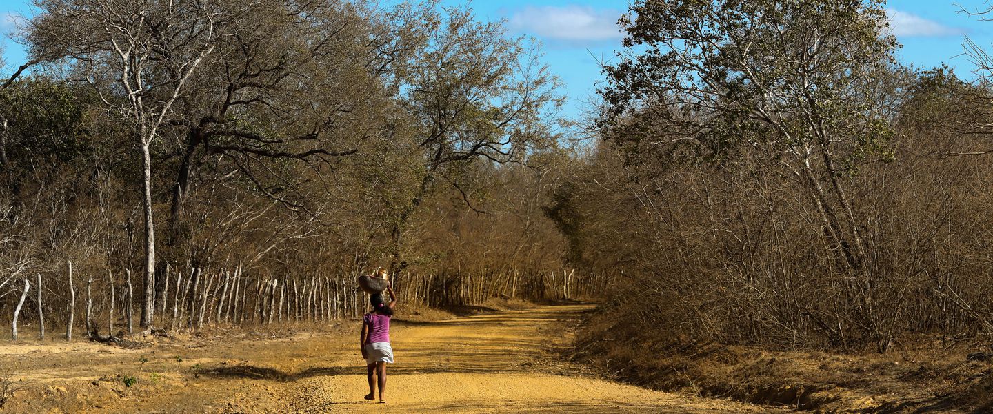 No Nordeste, Governo Bolsonaro fura poço, mas não entrega água; gasto é de R$ 1,2 bilhão