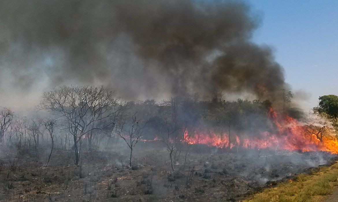 Queimadas no bioma Cerrado. (Jose Cruz/ Agência Brasil)