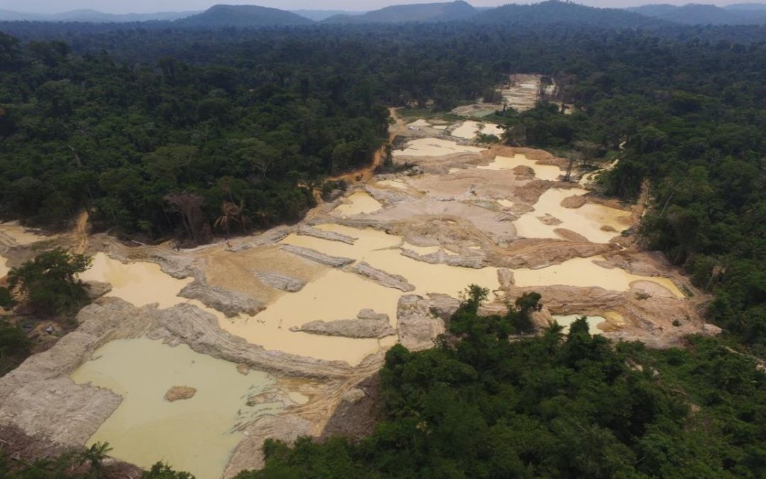 Desmatamento aumentou mais de 60% na Terra Indígena Apyterewa, no Pará, a mais pressionada da Amazônia