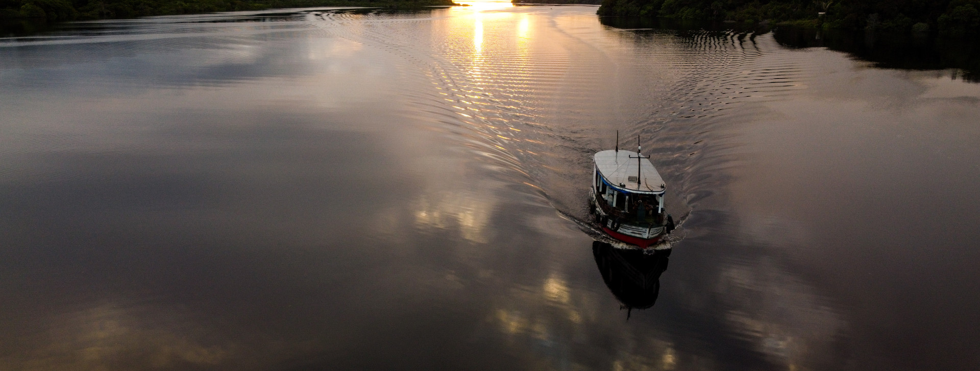 Conhecimento sobre a Amazônia é fator decisivo para 62% dos eleitores, diz pesquisa
