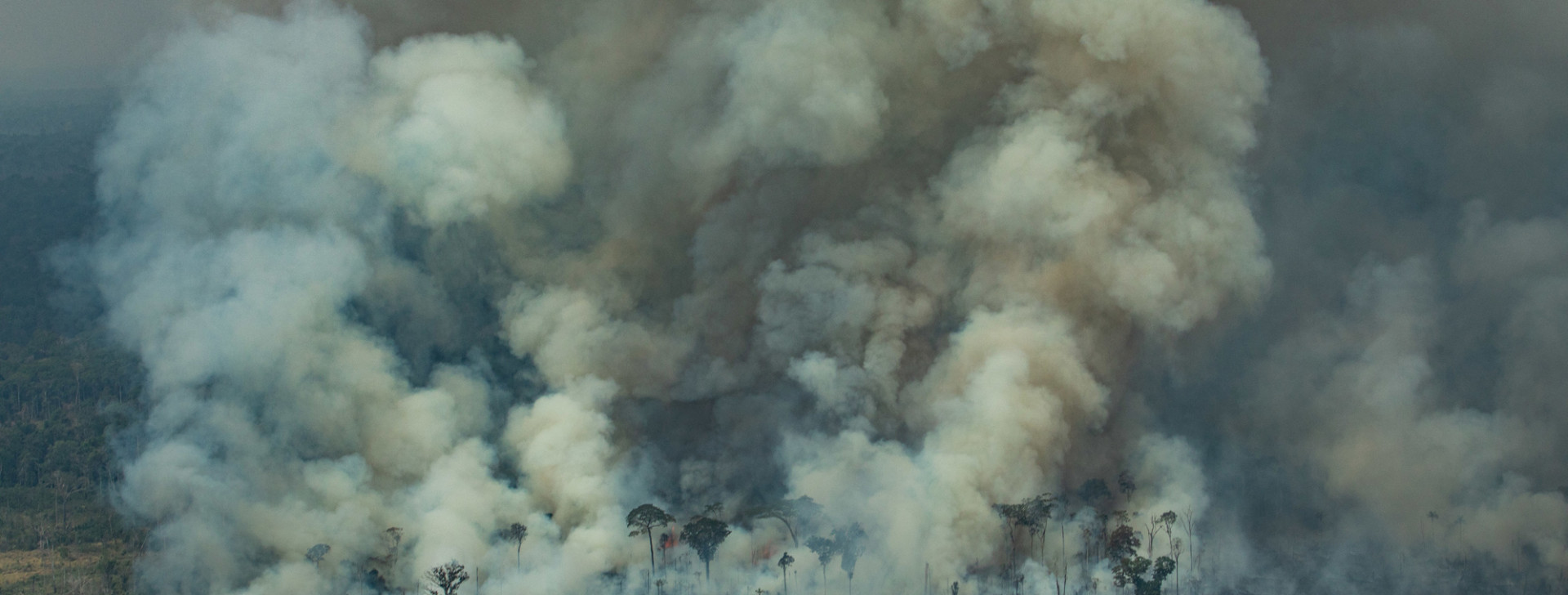 Em RO, julho teve mais queimadas que em todo o primeiro semestre, revela Inpe; agosto segue mesma tendência