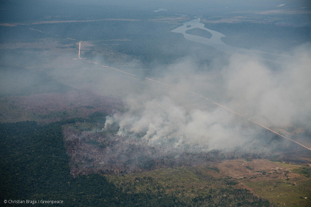 Sobrevoo do Greenpeace Brasil flagra o avanço do fogo sobre a Floresta Amazônica