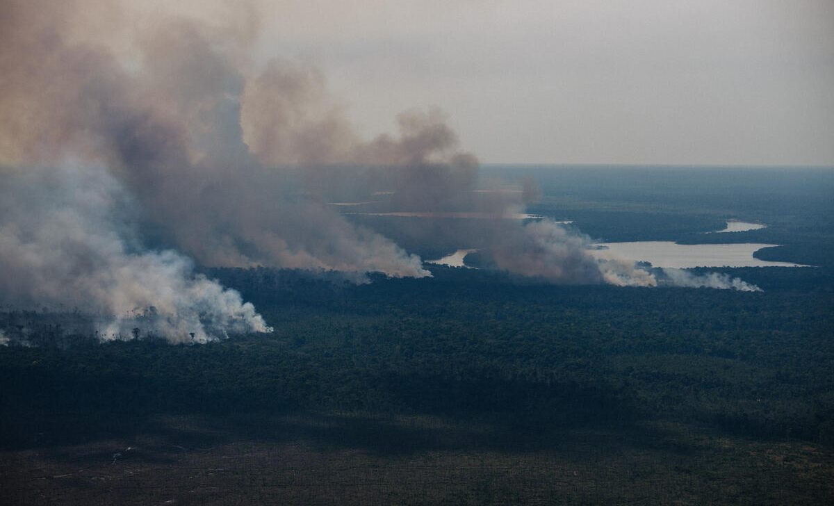 Amazônia atinge pior nível de desmatamento nos últimos 15 anos