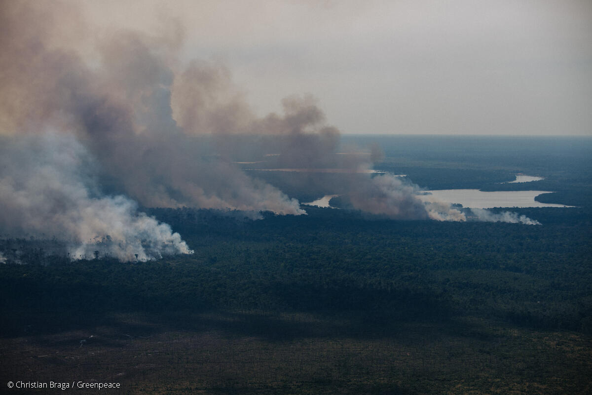 Amazônia atinge pior nível de desmatamento nos últimos 15 anos