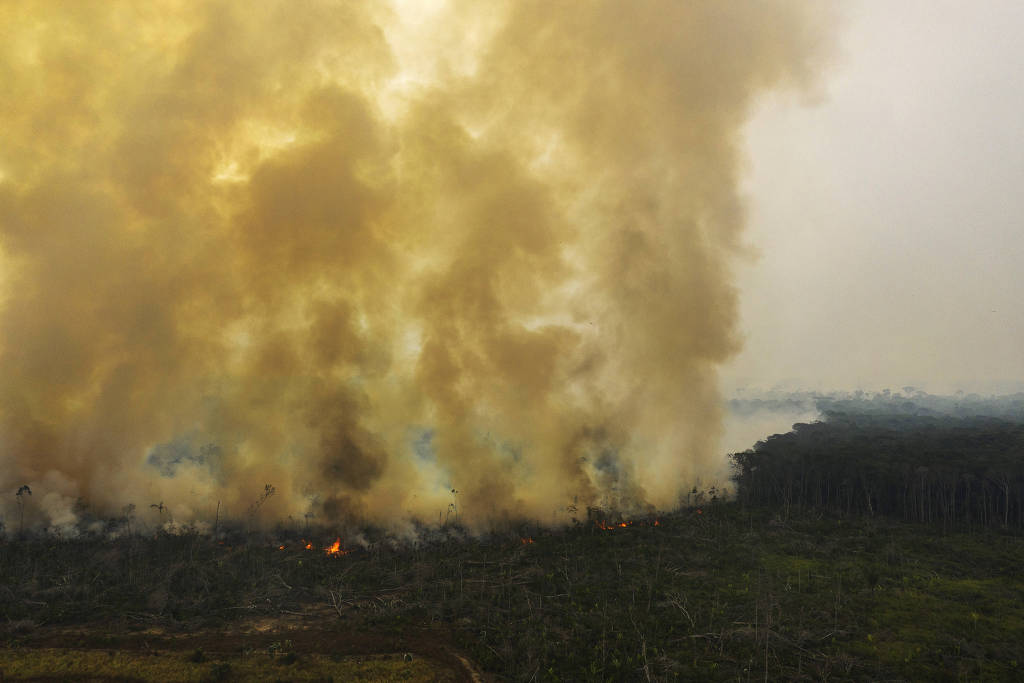 Com mais queimadas do que o ‘dia do fogo’, Amazônia tem mais de 3.300 focos de calor registrados no mês de agosto