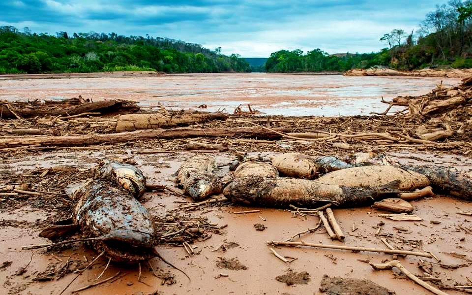 Empresas enfrentam processos milionários no exterior por crimes ambientais e sociais cometidos no Brasil