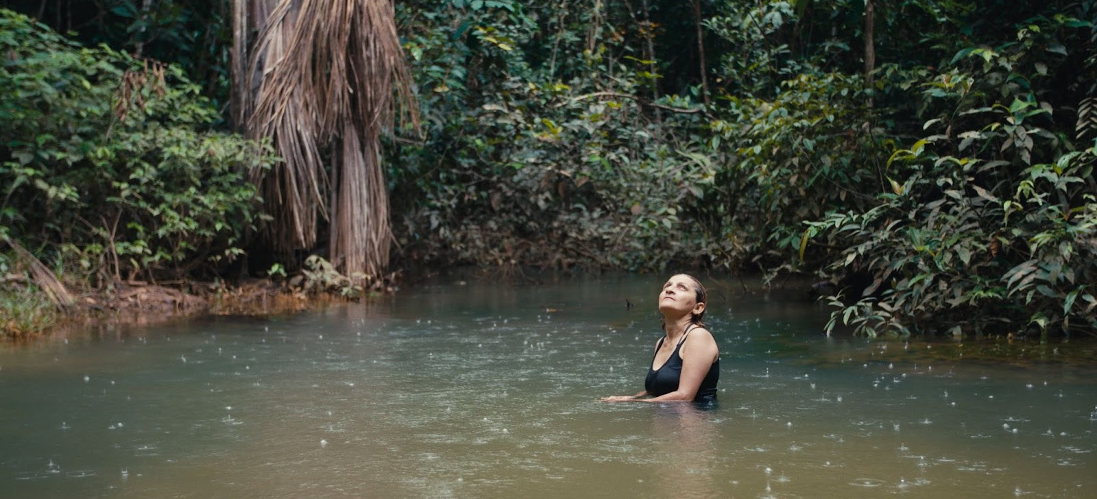 ‘O território’: coproduzido por indígenas, documentário retrata a luta contra o desmatamento na Amazônia