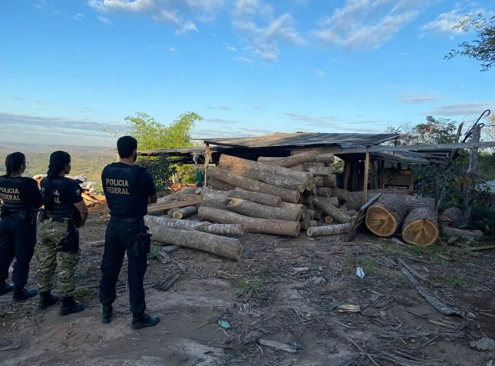 Em operação contra extração de madeira ilegal dentro de T.I no Maranhão, PF cumpre 22 mandados de busca e apreensão