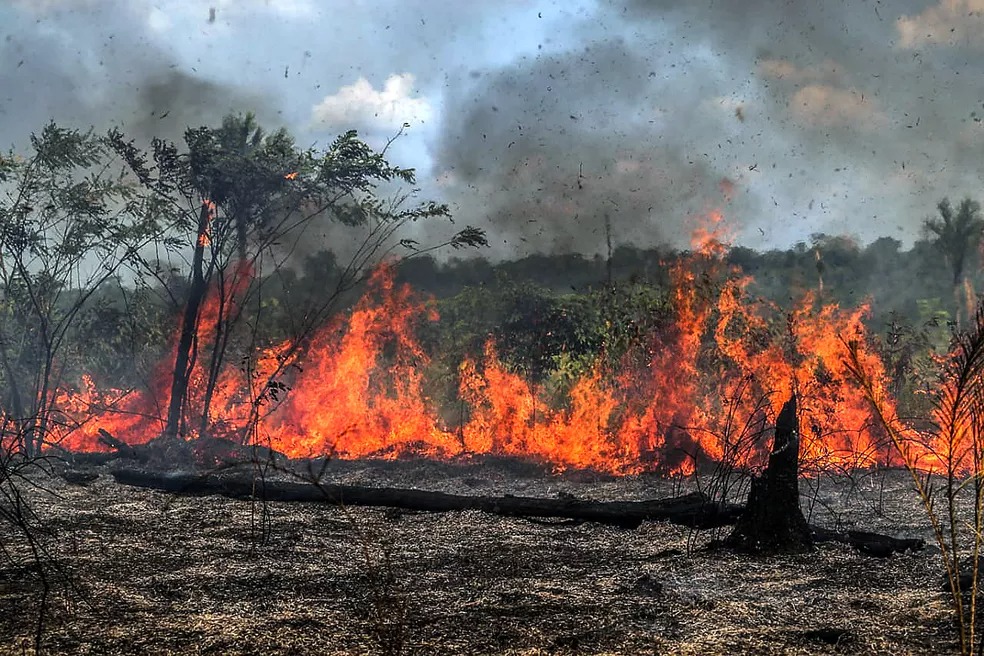 Amazônia: mês de agosto registra dia de maior foco de calor em seis anos