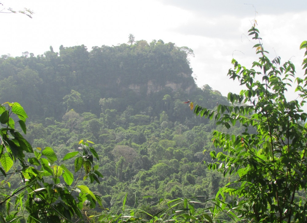 Depósitos minerais na Reserva Nacional de Cobre e Associados (Renca), localizada entre os Estados do Amapá e Pará, foram mapeados pelos cientistas (Juliana Siqueira-Gay/Acervo Pessoal)