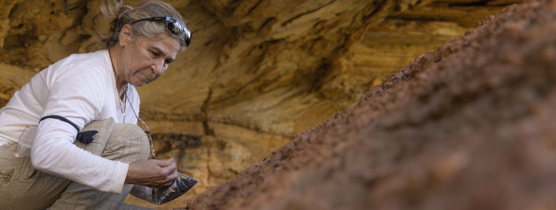 Projeto Mulheres na conservação lança último capítulo de websérie sobre o trabalho feminino na ciência