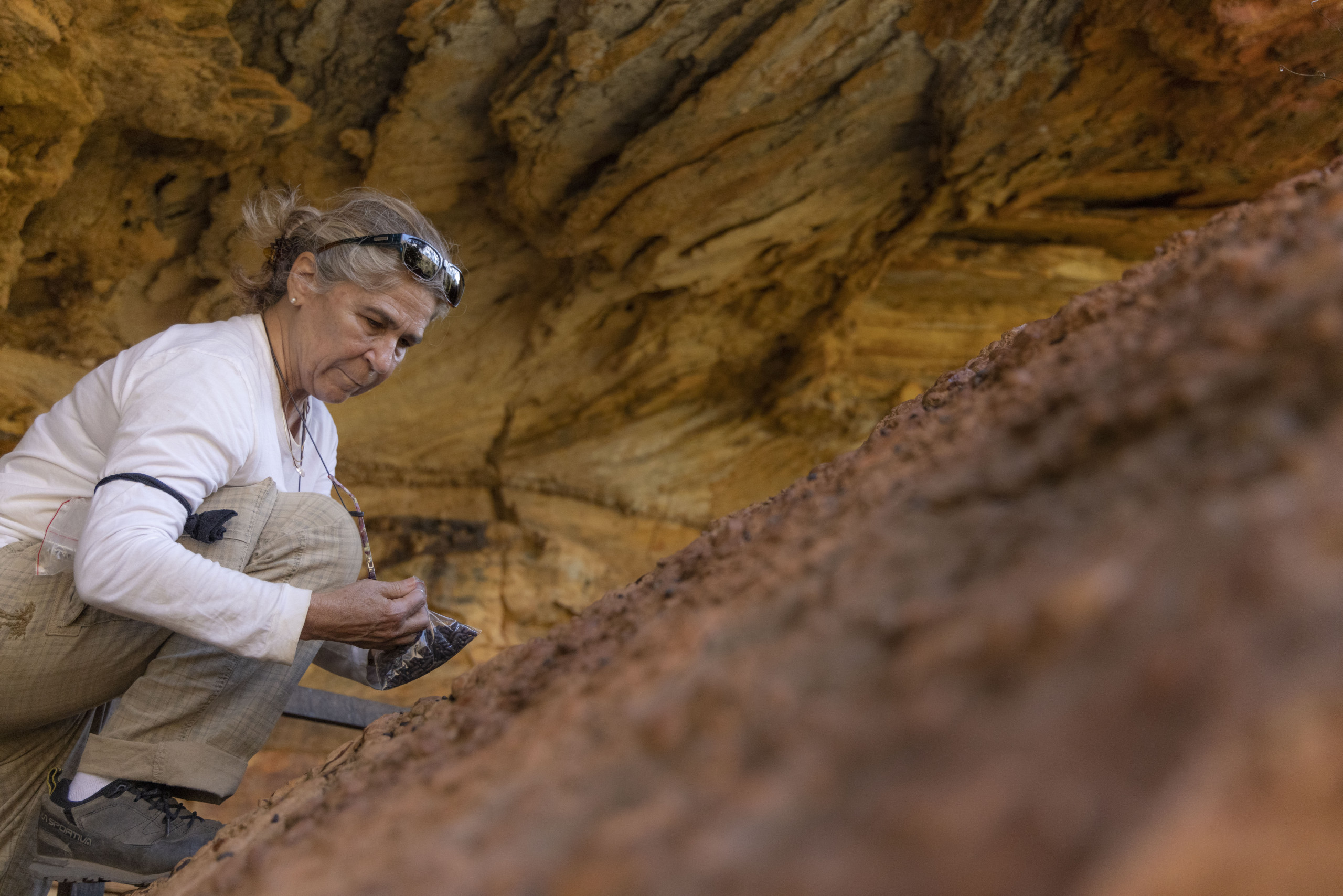 Projeto Mulheres na conservação lança último capítulo de websérie sobre o trabalho feminino na ciência