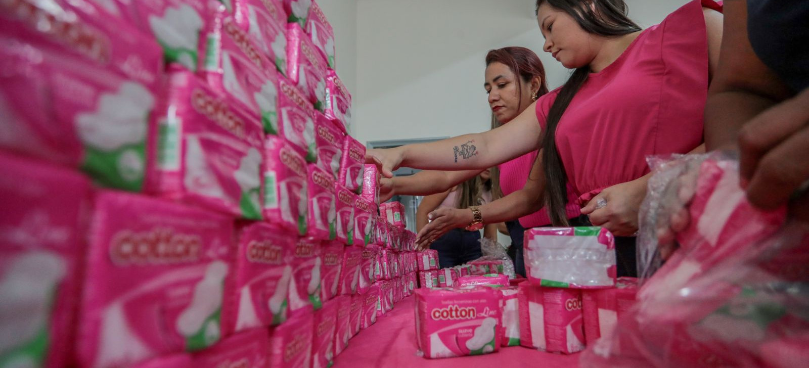 Programa contra pobreza menstrual inclui absorventes em cestas básicas, em Rondônia