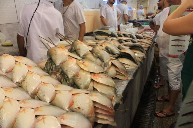 Mais de 50 casos da doença de Haff são registrados no AM, neste ano