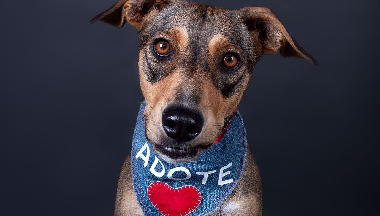 São Paulo recebe a quinta edição do ‘Adote Amor Fashion Week’