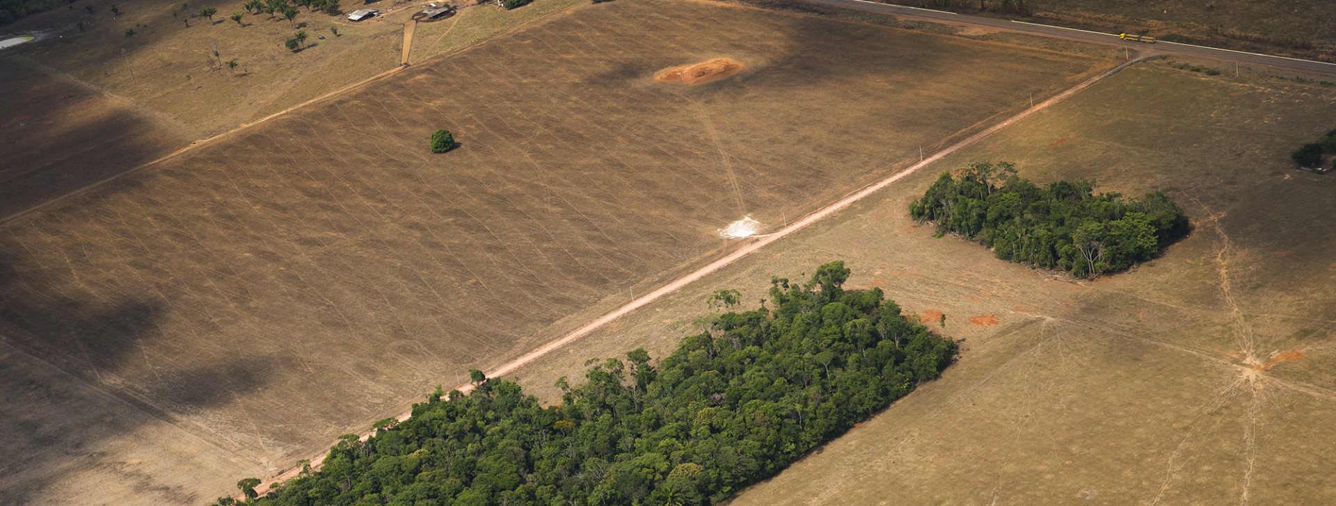 Desmatamento acumulado de janeiro a setembro na Amazônia é o pior pela quinta vez consecutiva