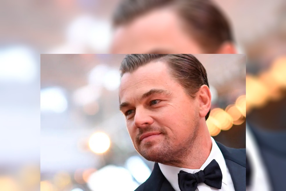 Eleições no Brasil: Com tuíte sobre Amazônia, Angélica recebe apoio de DiCaprio