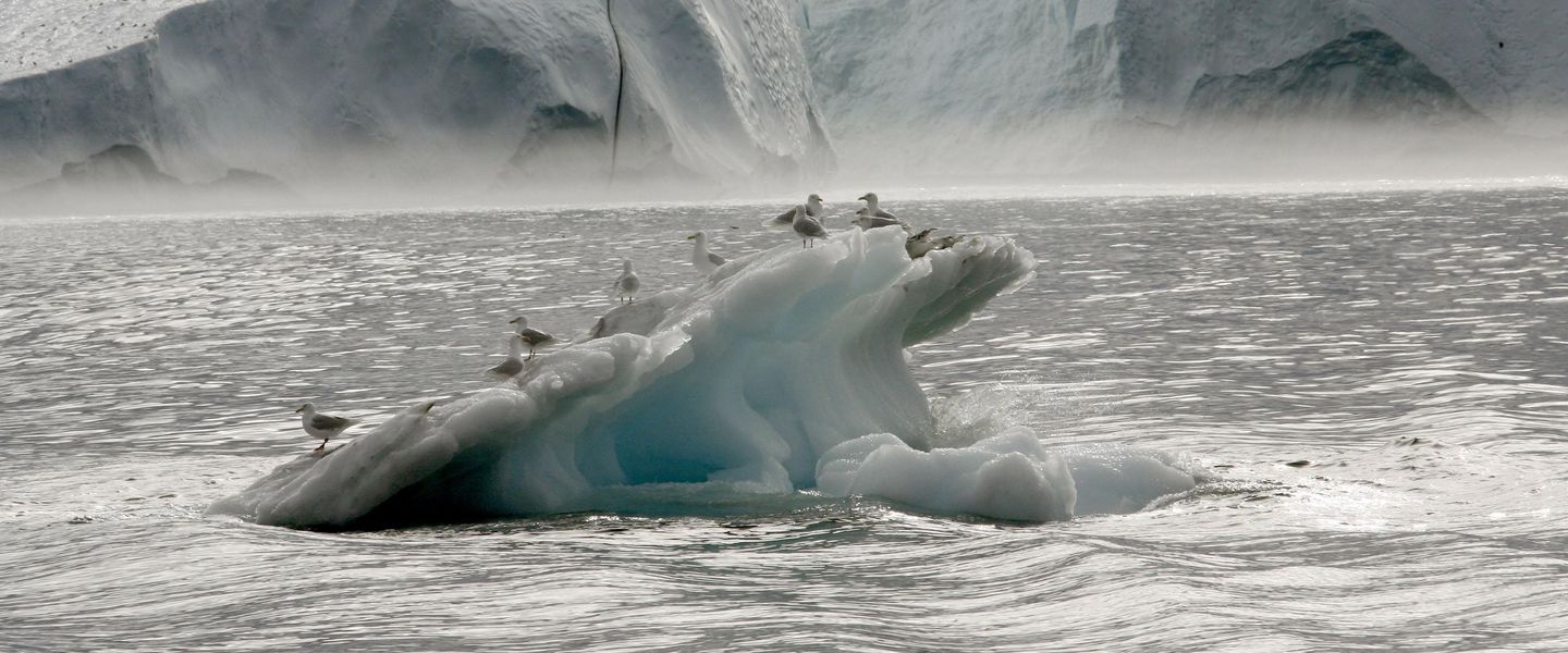 ONU afirma que planeta caminha para atingir o dobro do limite de temperatura para catástrofe climática