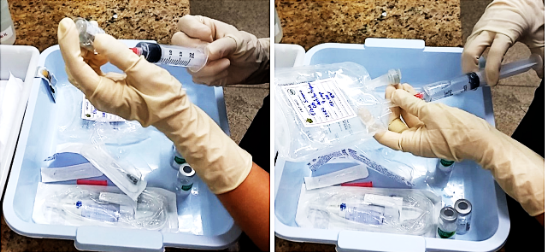 No AM, pesquisa estabelece protocolo de saúde para acidentes causados por cobras