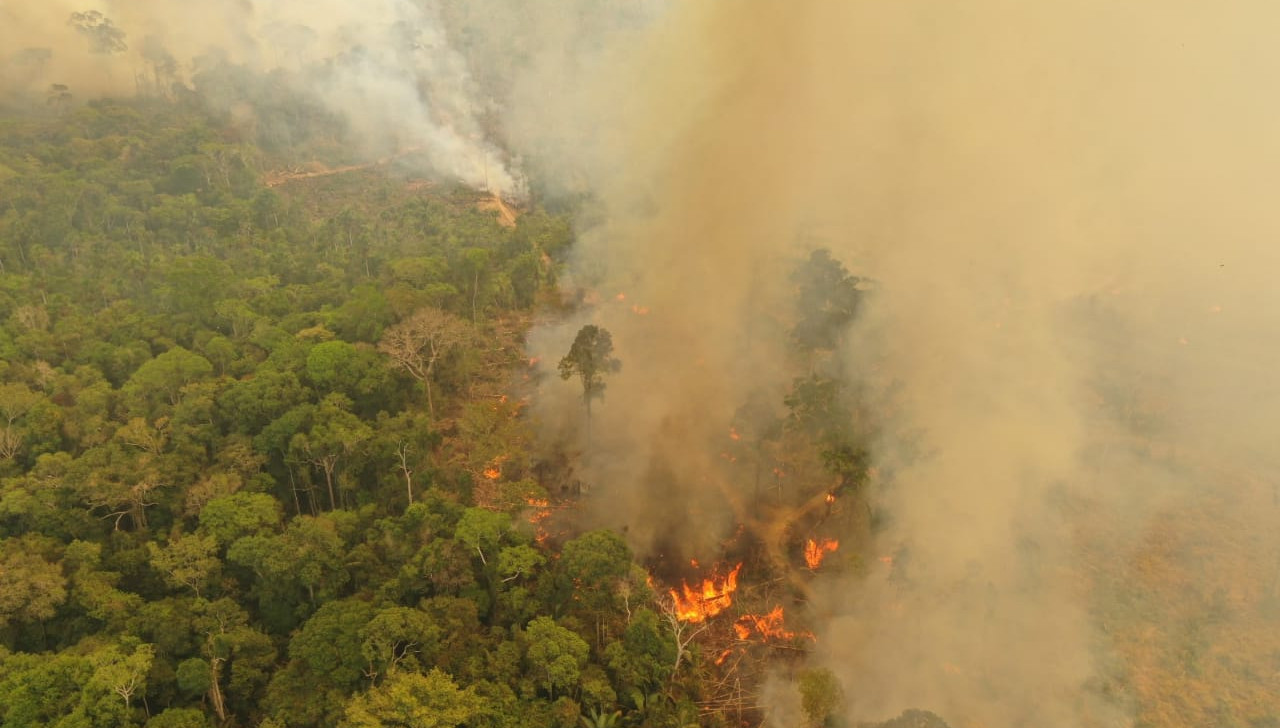 Incêndio na Amazônia está mais ligado a queimadas agrícolas e desmate do que à seca