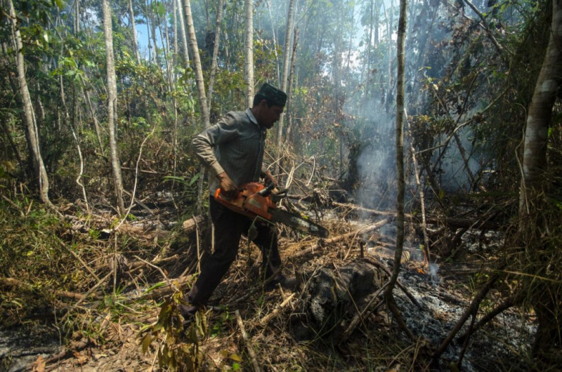 MPF abre inquérito para investigar ‘conduta provocadora’ de danos ambientais em Terra Indígena no Pará