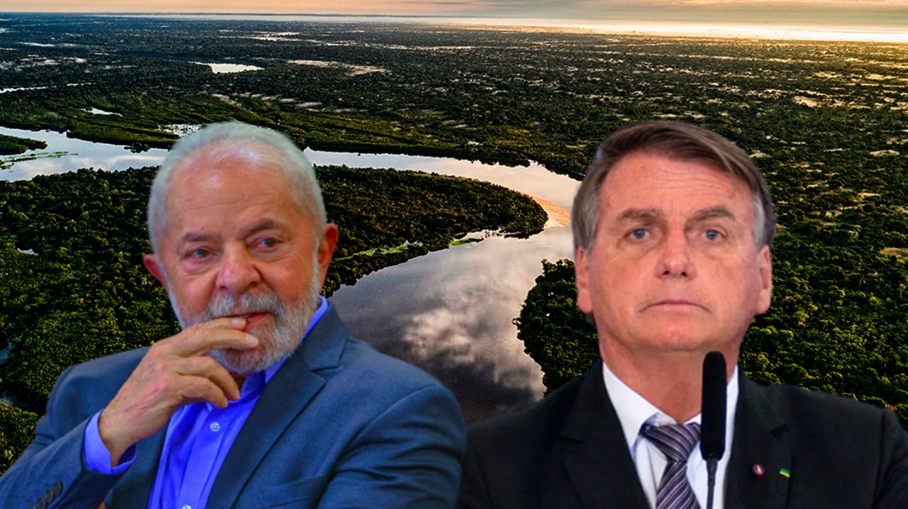 EDITORIAL – Repartidos, por Márcia Guimarães