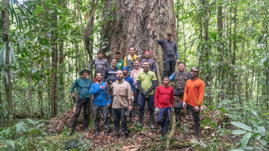 Equipe posa diante do angelim vermelho, no Amapá. É a maior árvore já catalogada na Amazônia Havita (Rigamonti/IMAZON/IDEFLOR)