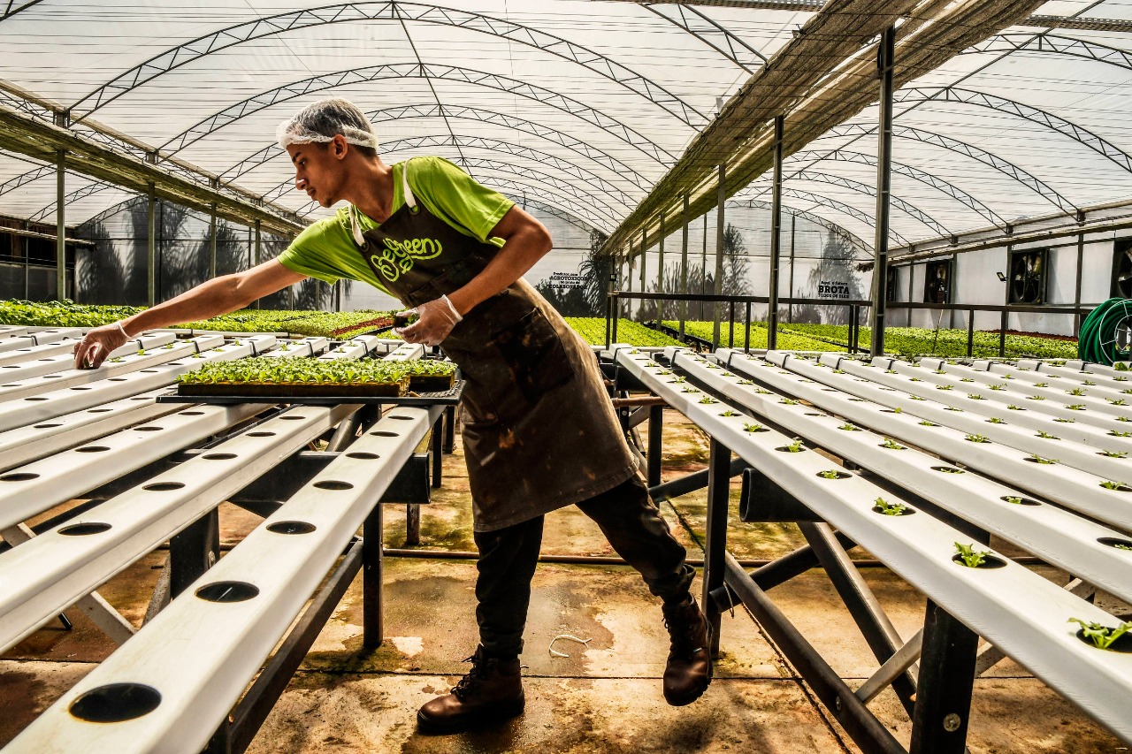 Funcionários são incentivados a terem hábitos saudáveis após empresas investirem em hortas próprias
