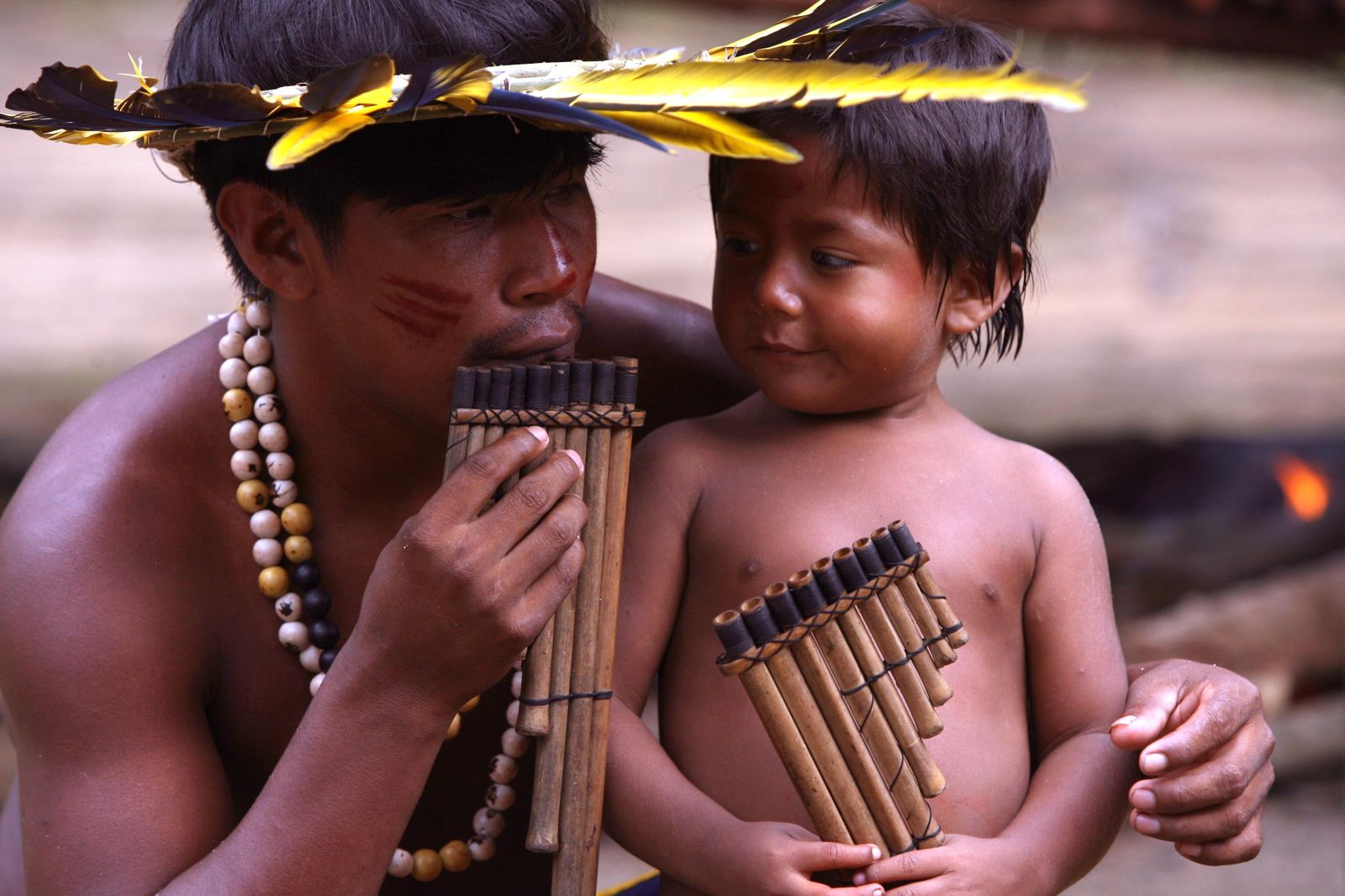 Funai reage após instituições acusarem órgão de barrar recursos do Fundo Amazônia; ‘faltou documentação’