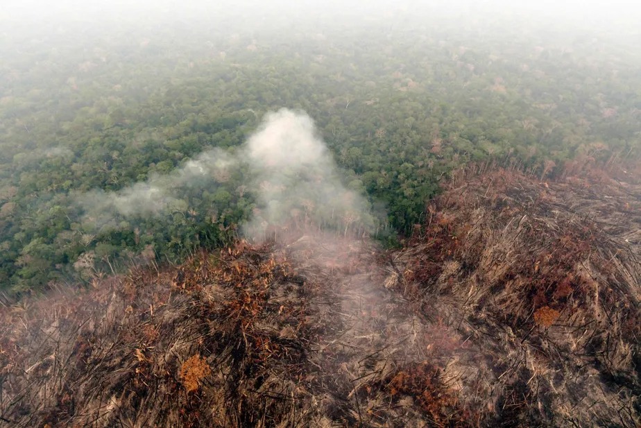 Desmatamento na Amazônia nos últimos 4 anos custa R$ 1,18 trilhão. (Douglas Magno/AFP)