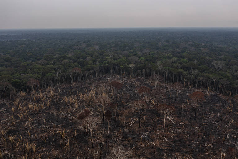 Área desmatada na rodovia Transamazônica, perto da cidade de Lábrea (Lalo de Almeida/Folhapress)